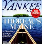 yankee