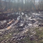 mud pic